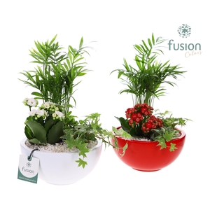 Schaal keramiek Moon Medium wit en rood met arrangement