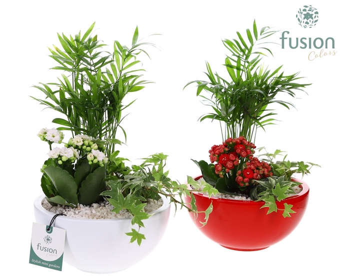 <h4>Schaal keramiek Moon Medium wit en rood met arrangement</h4>