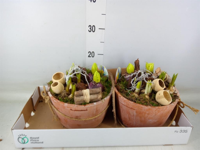 <h4>Arr.   Bol/Knolgewas L%</h4>