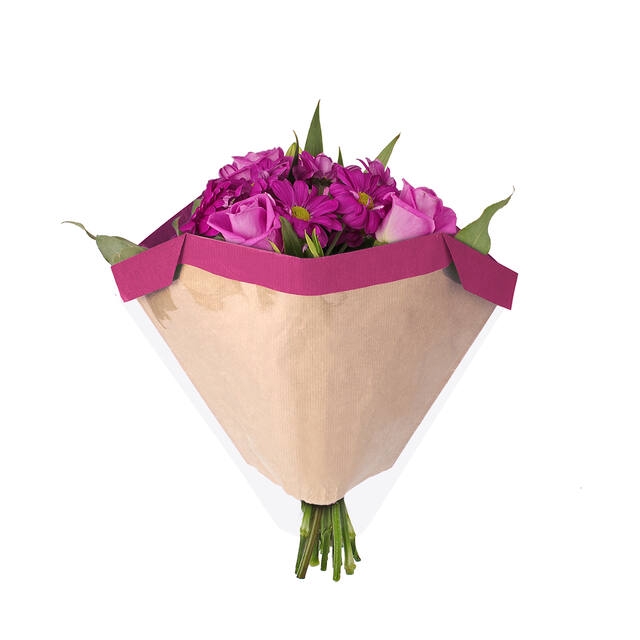 <h4>Hoes 27x44Â½x11cm OPP30/45gr kraft Piccolo magenta 250/doos</h4>