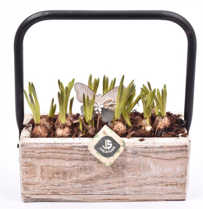 <h4>Hout rechthoek met hendel 26x11cm</h4>