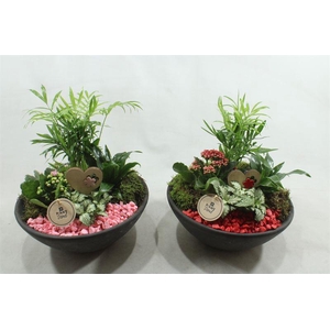 6621 EBBI INDOOR ROOD/ROZE