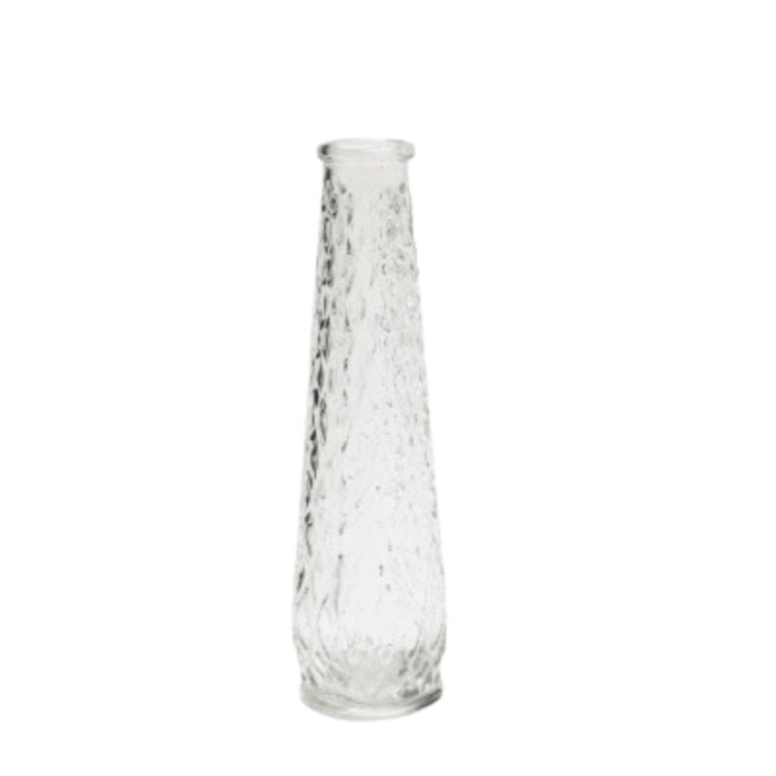 <h4>Glas Fles Rachel d04/7.5*25cm</h4>