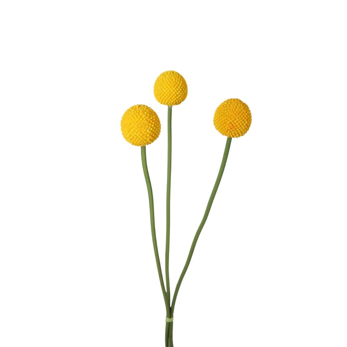 Artificial flowers Craspedia globosa 55cm
