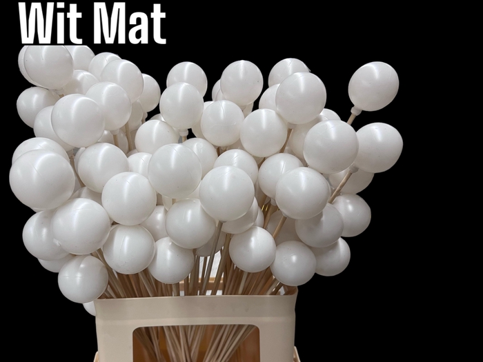 <h4>KERSTBAL OP STOK H%</h4>