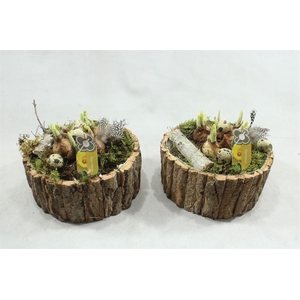 0620 SCHORS ROND TETE