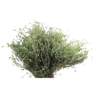 Tym Falso Super 400 Gram