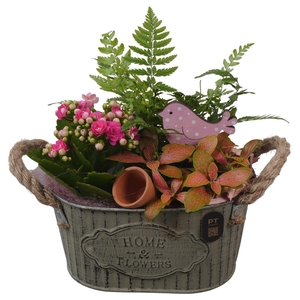 Arr.    Planten  L%