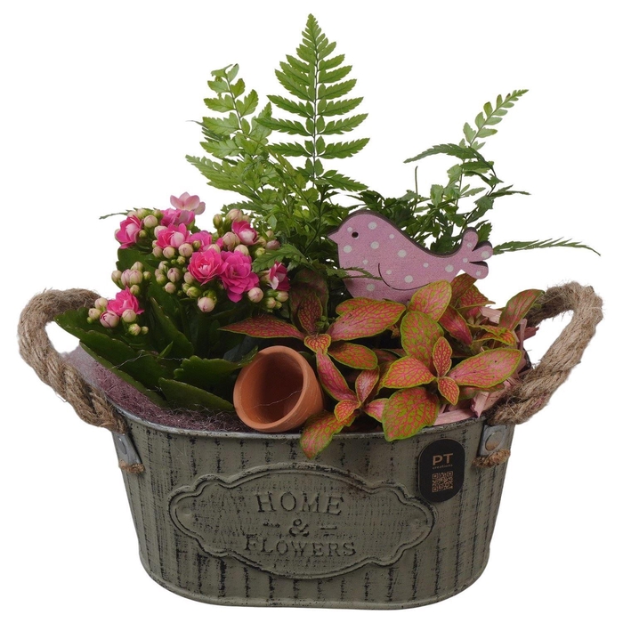 <h4>Arr.    Planten  L%</h4>