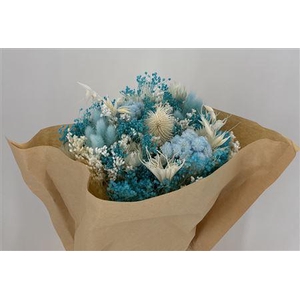 Dr Bqt Bleach Big Light Blue