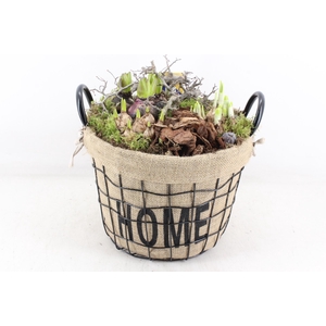 arr4 Bollenmix MB - Draadmand home XL