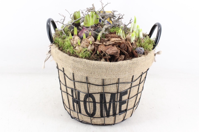 <h4>arr4 Bollenmix MB - Draadmand home XL</h4>