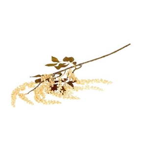 Branch Berry Jungle L72