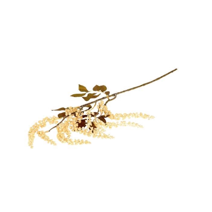 <h4>Branch Berry Jungle L72</h4>