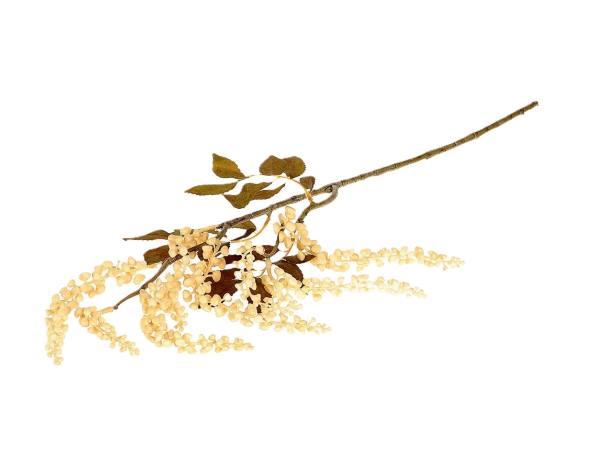 Branch Berry Jungle L72