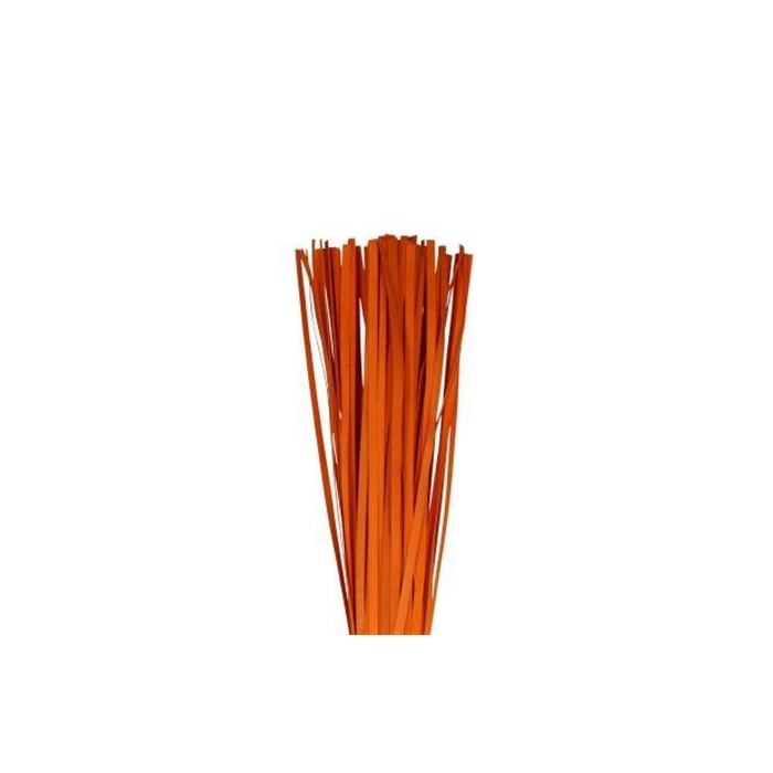 <h4>Woodstrip 100 Pcs L110W1</h4>