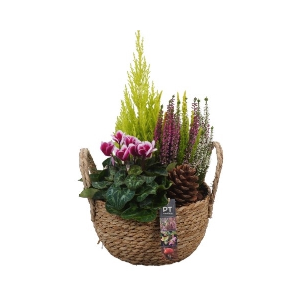 <h4>PTHO4136 Arrangement Herfst Outdoor in rieten mand</h4>