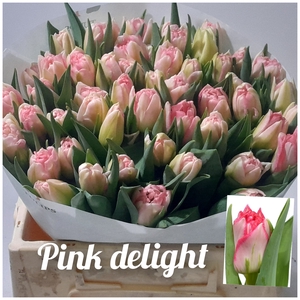 TU DU PINK DELIGHT