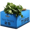 Salal Tip