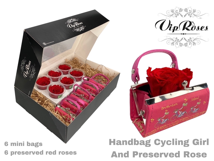 HANDBAG CYCLING GIRL AND PRESERVED RED ROSE