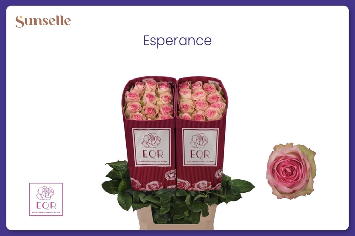 <h4>R GR ESPERANCE</h4>