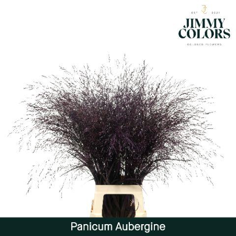 <h4>Siergras L90 Klbh. Aubergine</h4>