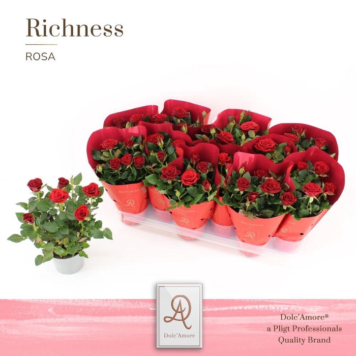 <h4>Rosa Rood Dolc'Amore Metallic</h4>