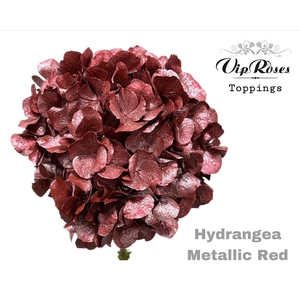 Hydr M Metallic Red