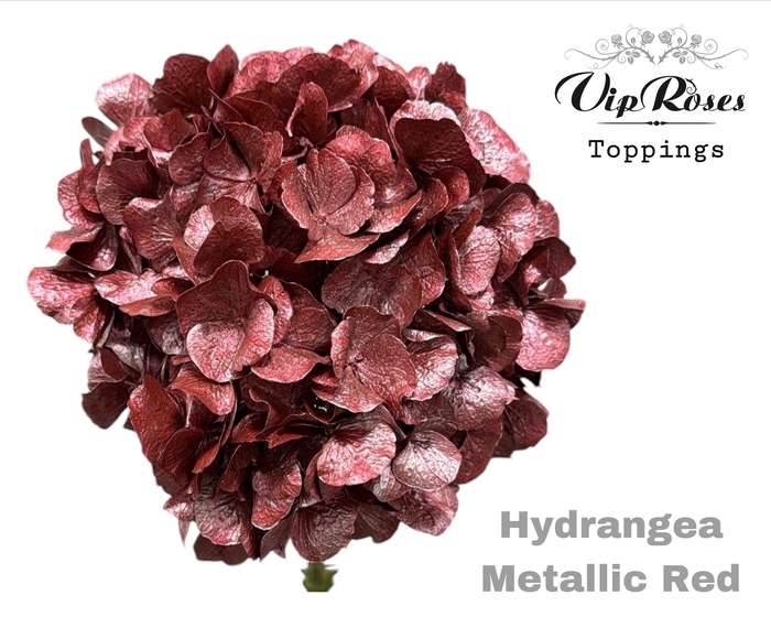 <h4>HYDR M METALLIC RED</h4>