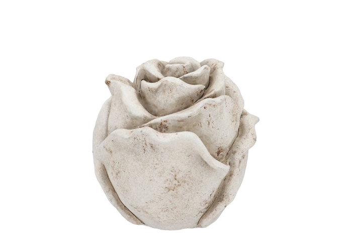 <h4>Concrete Antique Rose 9x9x8cm</h4>