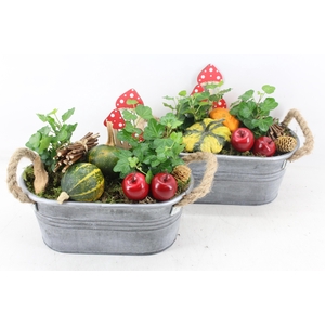 arr4 Sierfruit JS - Zink ovaal oor 338/4