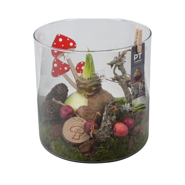 <h4>PTAA7591 Arrangement Amaryllis in glazen vaas</h4>