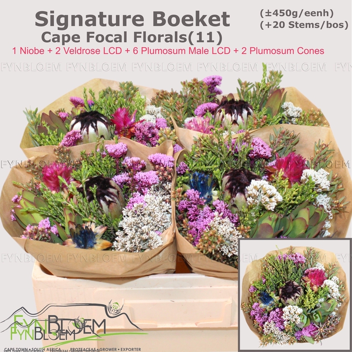 <h4>PROTEA PER BOS</h4>