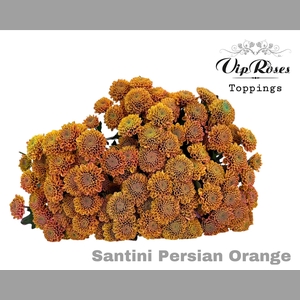 CHR S PERSIAN ORANGE