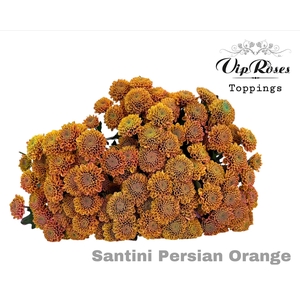 CHR S PERSIAN ORANGE