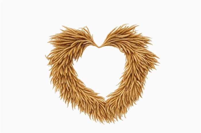 <h4>Wr Silkworm Heart Shape Natural 40cm</h4>