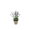 Silk Lavender Purple Pot Terra S 15x15x20cm