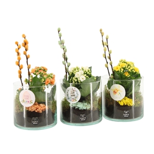 70865: Easter arrangement