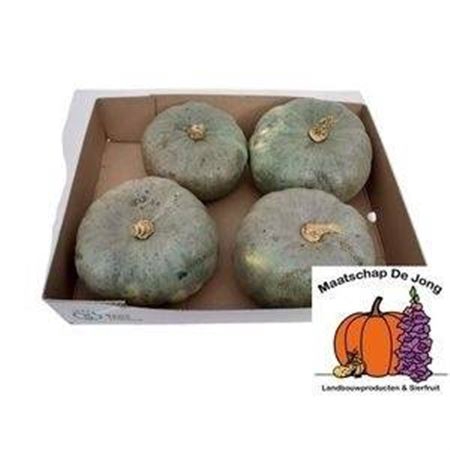 <h4>Sier Cuc Pepo Jarrahdale X 4</h4>