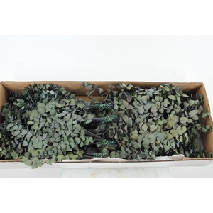 PF EUC STUART GREEN BS 50GR