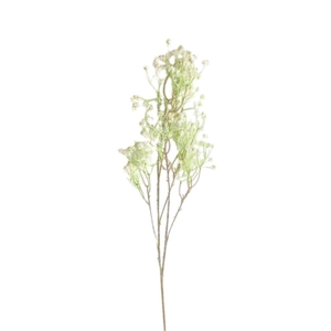 Gypsophilia 85cm