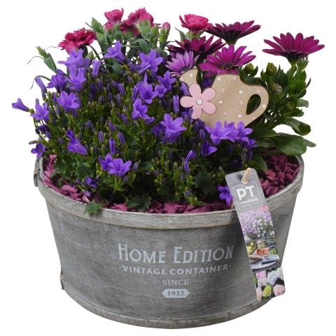 <h4>Opm Pt PTPP2592 Patio Hout Pot</h4>