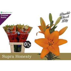 LI LA HONESTY