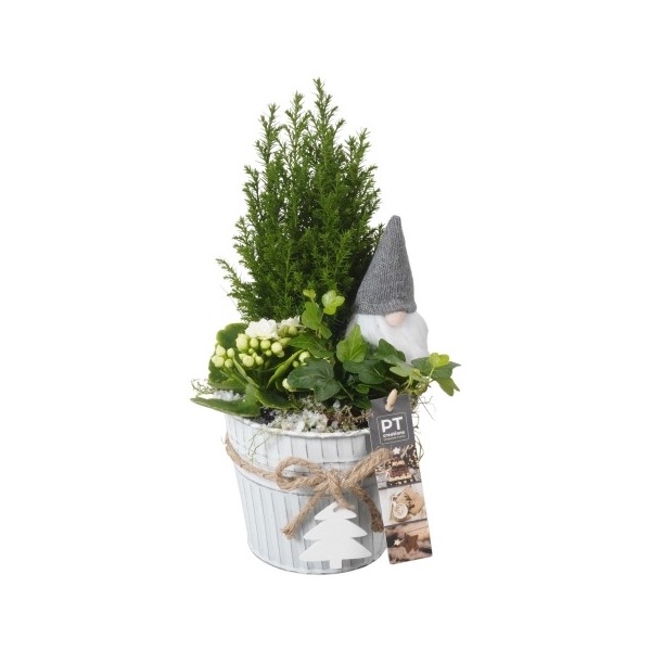 <h4>PTKB9435 Arrangement Kerst in zink pot</h4>