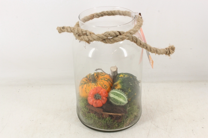 <h4>arr4 Sierfruit MB - Glas Napoleon</h4>