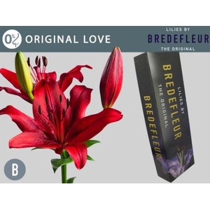 LI LA ORIGINAL LOVE QUALITY BOX