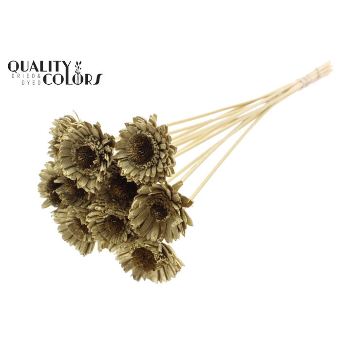 <h4>Shola Daisy Sunflower 6cm on stem Gold</h4>