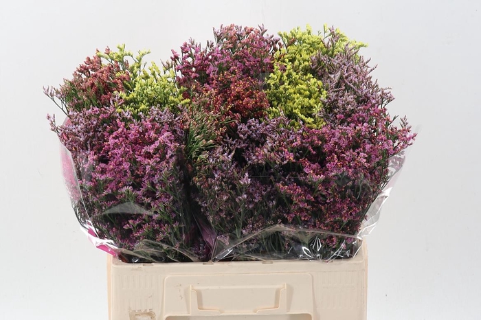 <h4>Lim Sin Diamond Gem</h4>