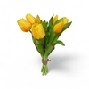AF Tulip bundle x7 L30cm ye