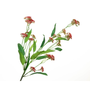 Berry Branch Red